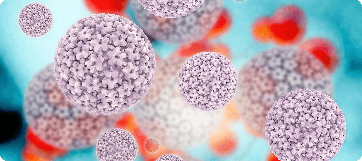Blog: Modell eines HPV Grafik einer Humanen Papillomviruses (HPV)